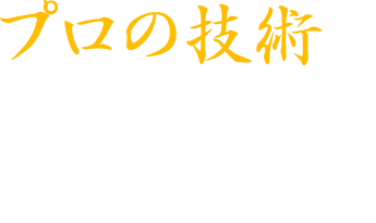 プロの技術で蘇る石の輝き